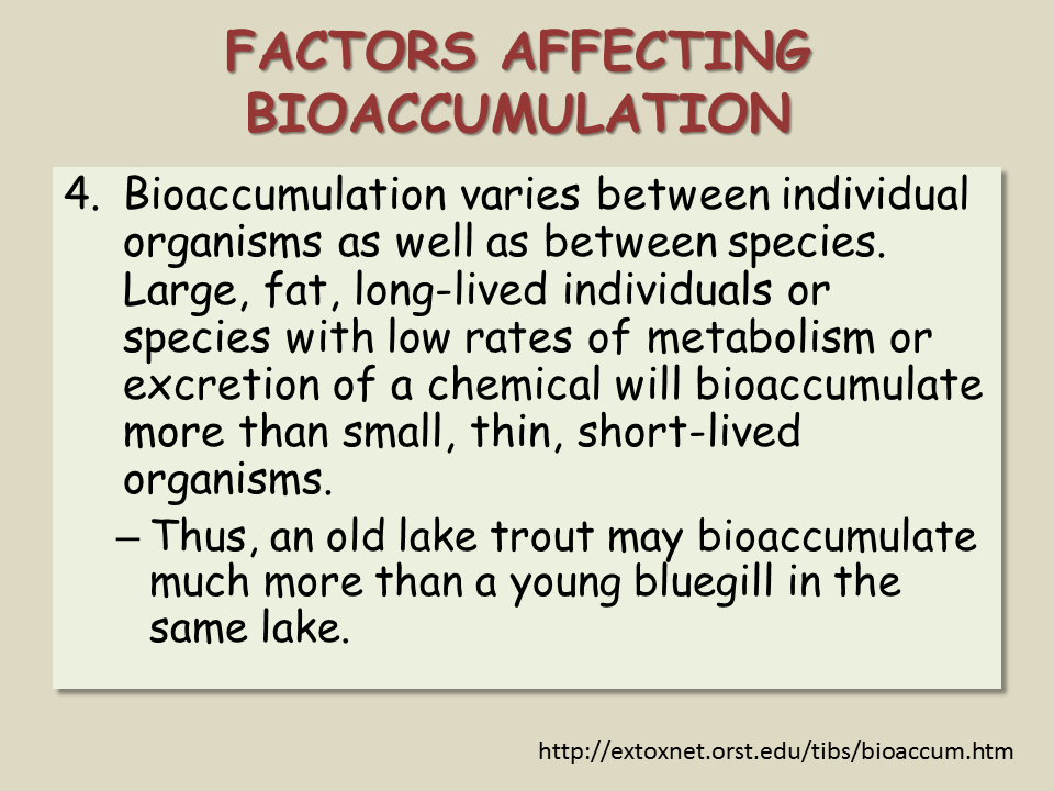 Biomagnification Presentation Biology