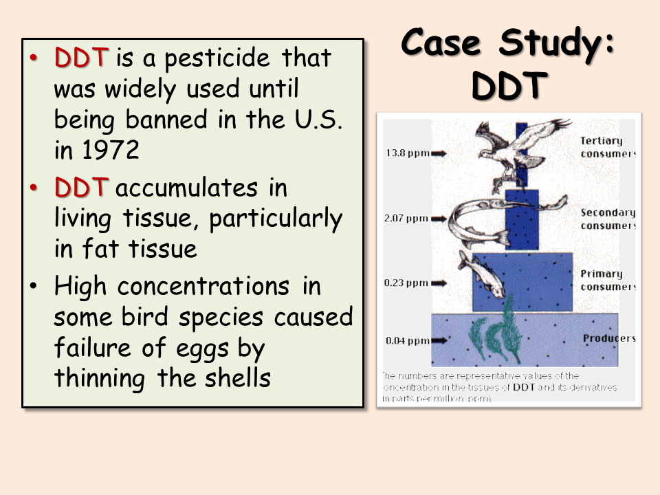 Biomagnification Presentation Biology