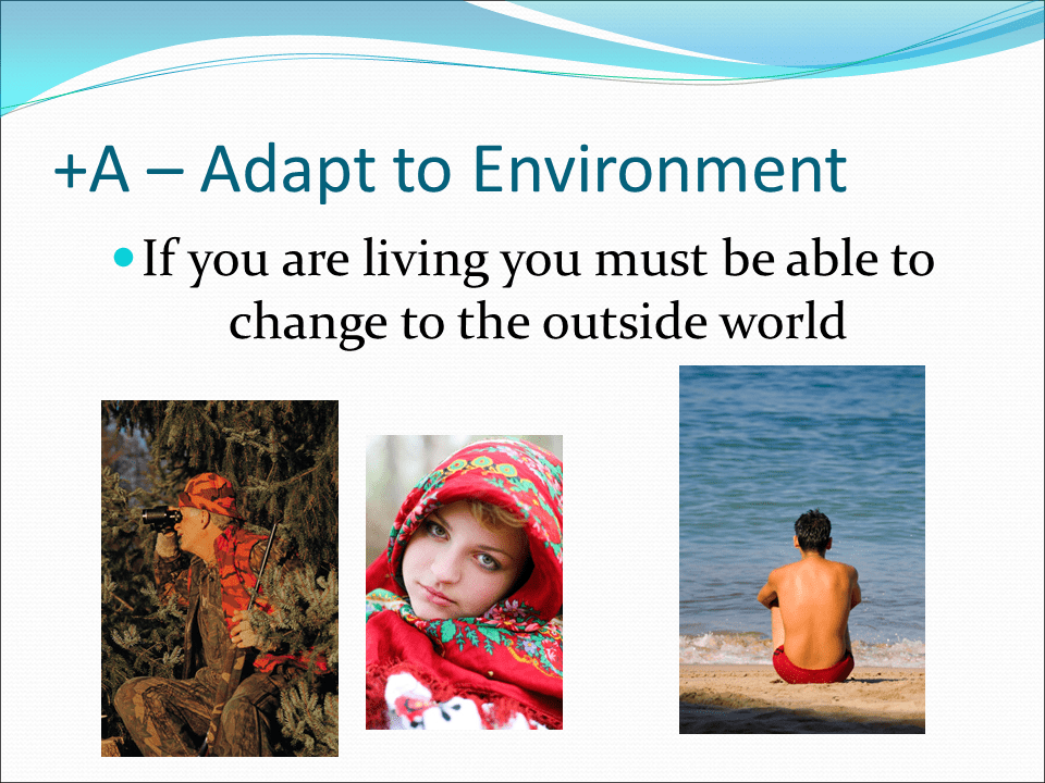 Characterisitcs of Life Presentation Biology