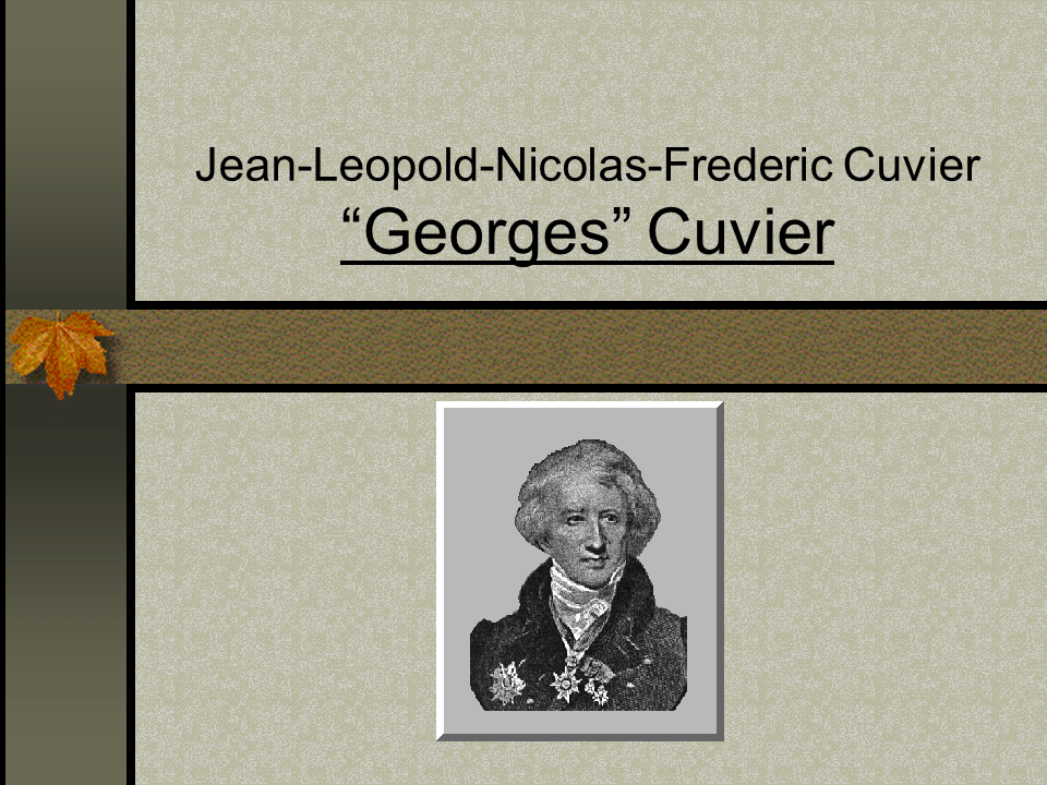 Cuvier Presentation Presentation Biology