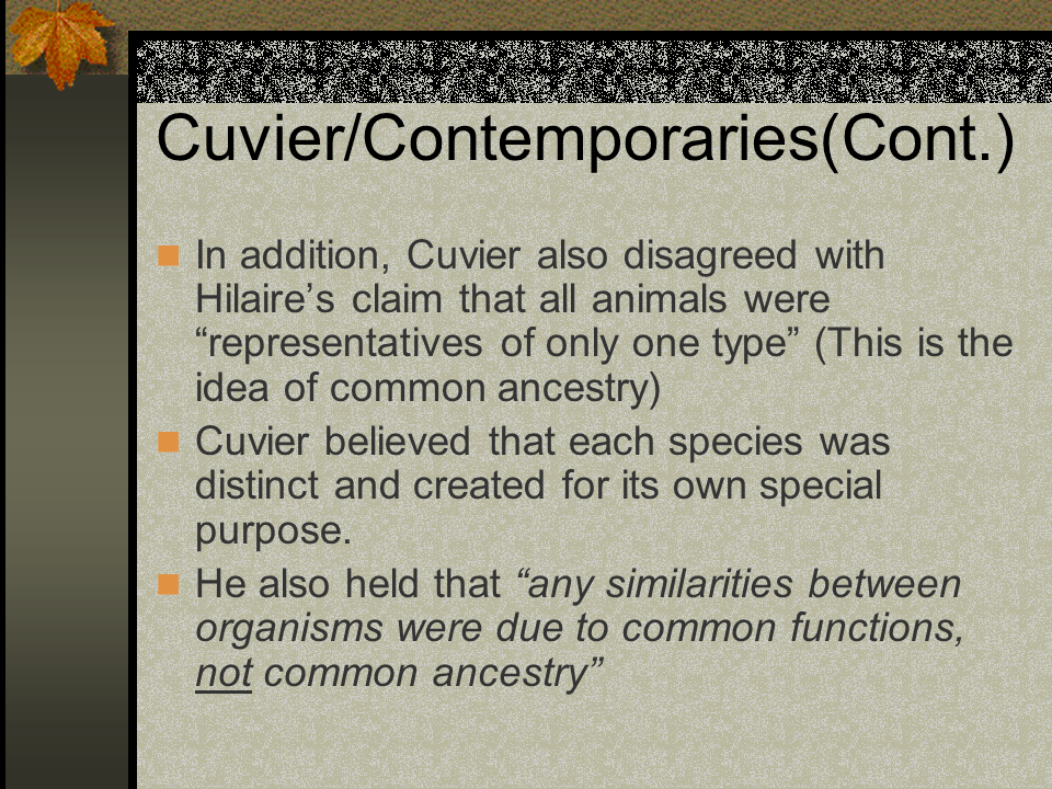 Cuvier Presentation Presentation Biology