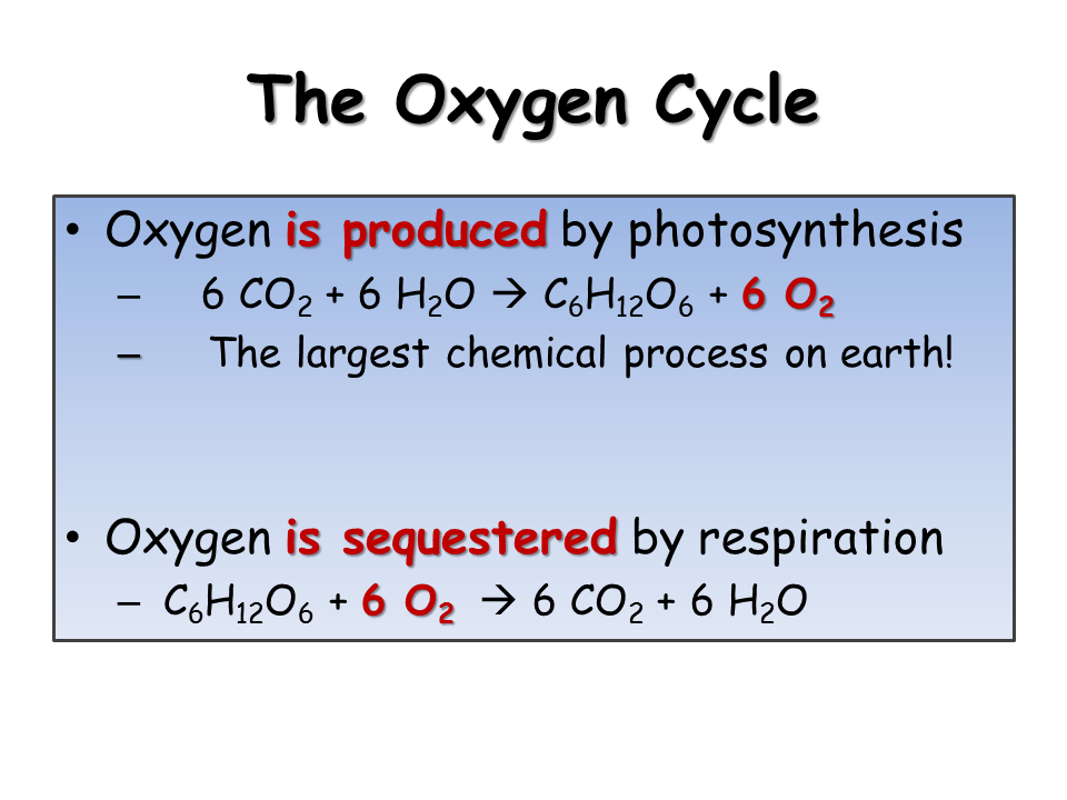 Cycles. Water, Carbon, Nitrogen, Oxygen and Phosphorus Presentation Biology