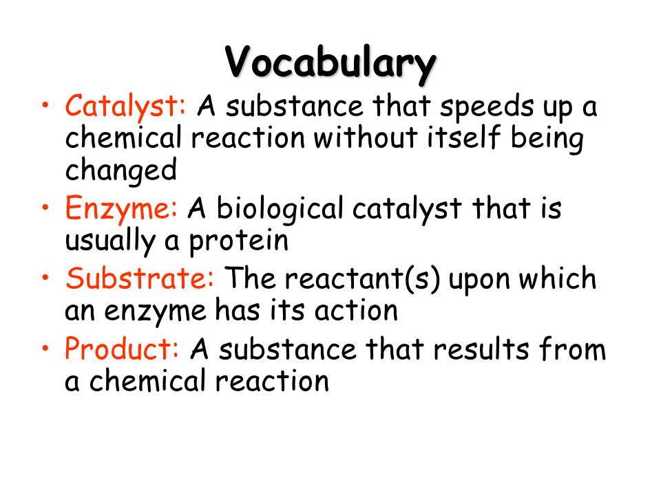 Enzymes. A Cell's Catalysts Presentation Biology