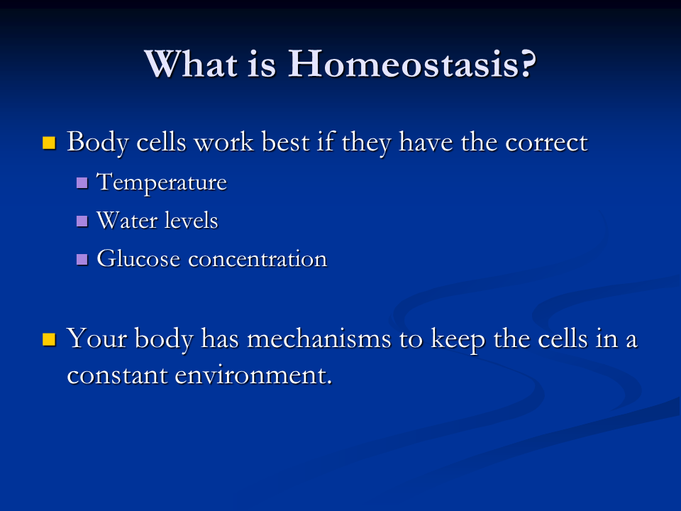 What Is Homeostasis Definition Examples Homeostasis