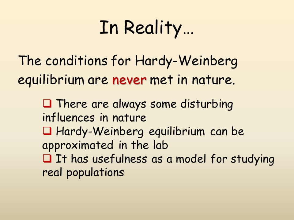 The HardyWeinberg Equilibrium Presentation Biology