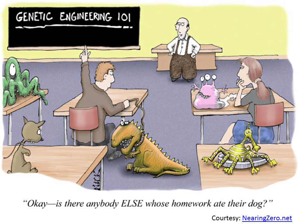 The New Presentation Biology