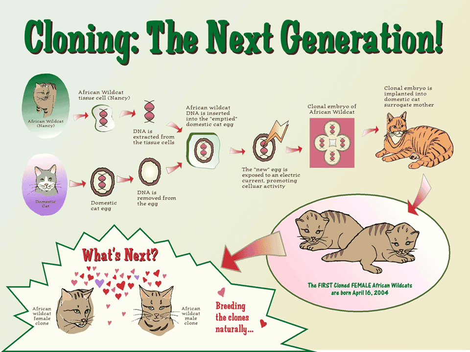 Modern Biotechnology some examples