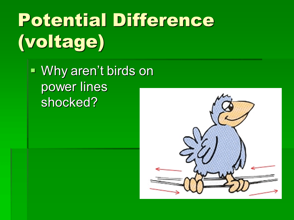 Electric Potential vs Potential Energy