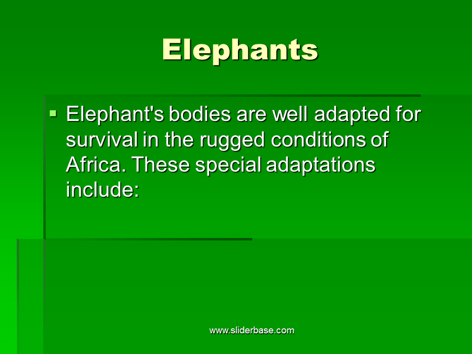 Adaptation in animals Presentation Evolution