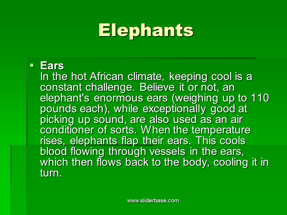 Adaptation in animals Presentation Evolution