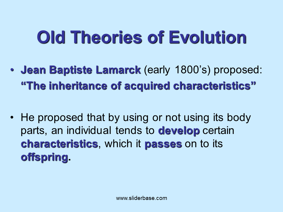 Natural selection Presentation Evolution