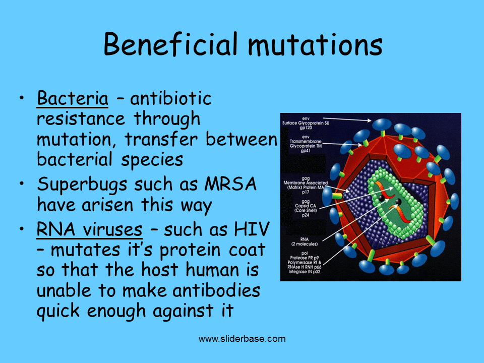 Cause and effect of mutation Presentation