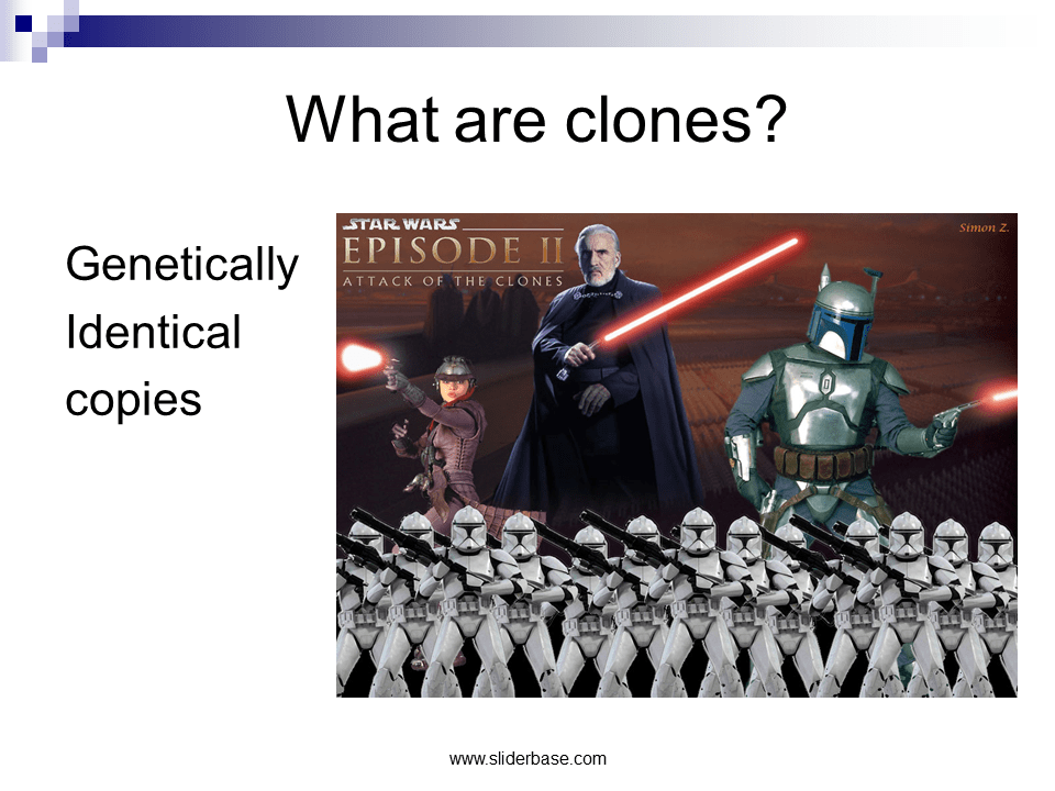 Cloning Science Fiction or Science Fact Presentation