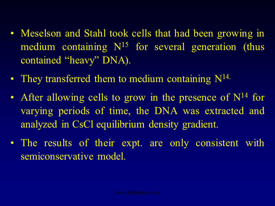 The Meselson Stahl Experiment