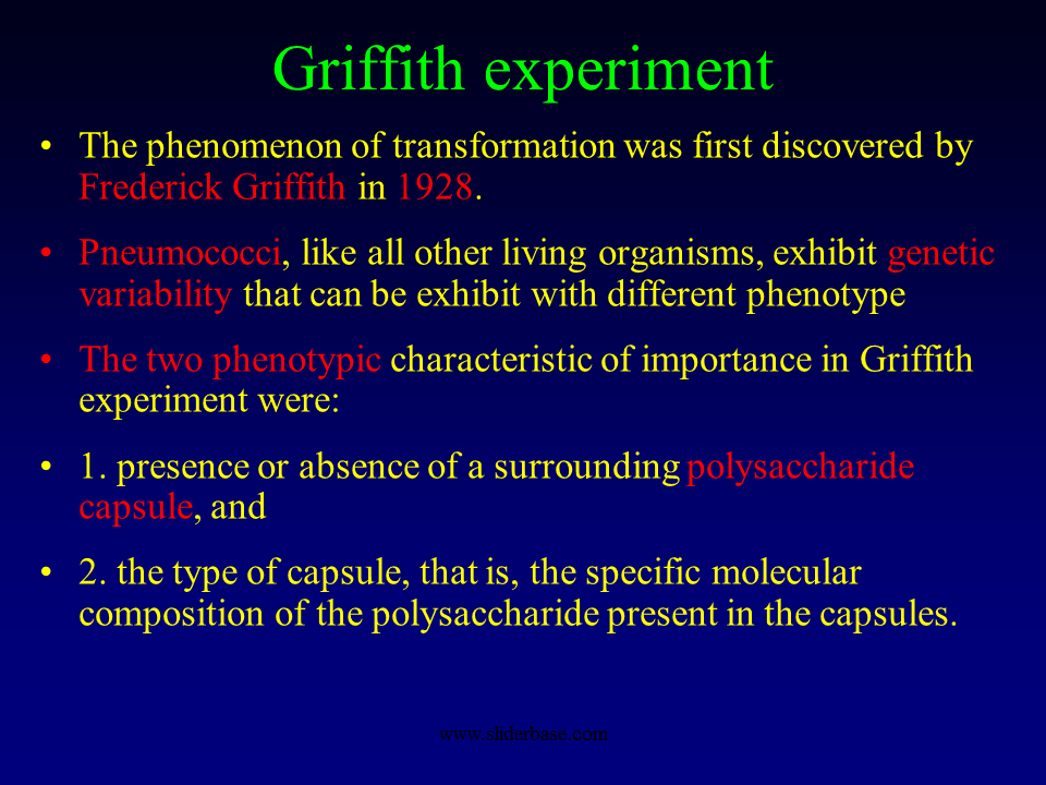 Models of dna replication meselson and stahl expt.