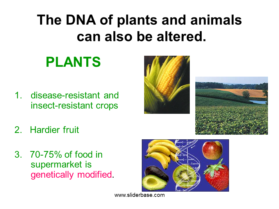 How Do Humans Benefit From Plants
