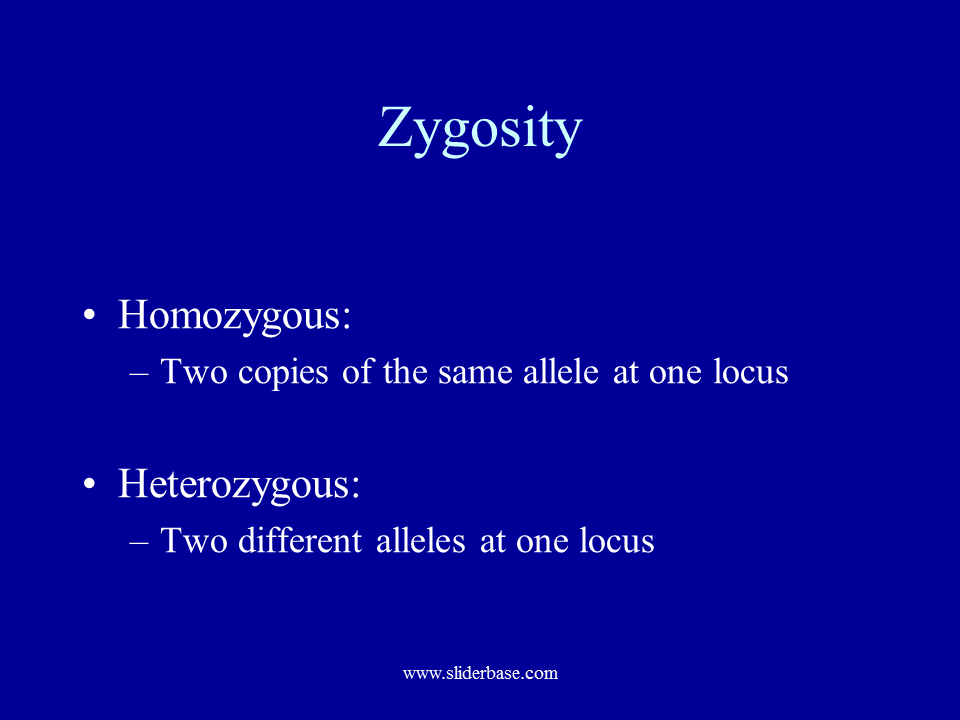 Variation and mutation Presentation