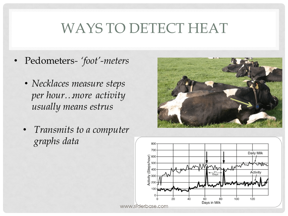 Heat detection