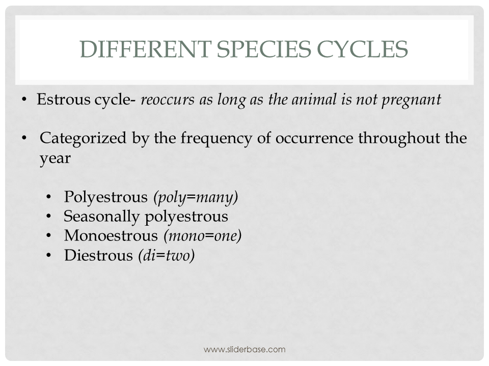 Animal Reproduction PP Part 1 Presentation Plants, Animals, and