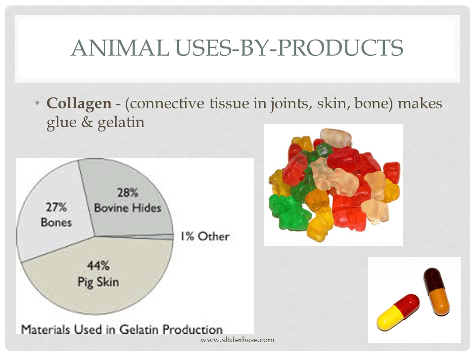 Animal Usesbyproducts