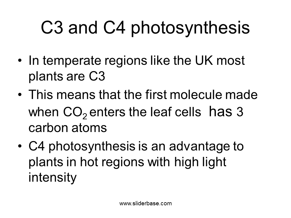 C3 and C4 photosynthesis