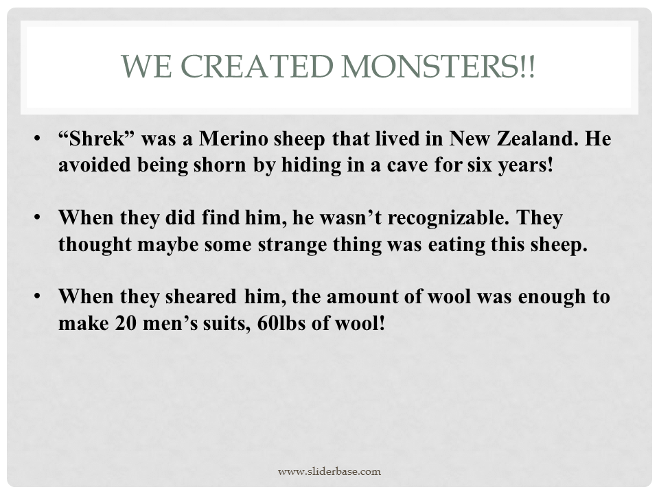 How do animals help us?