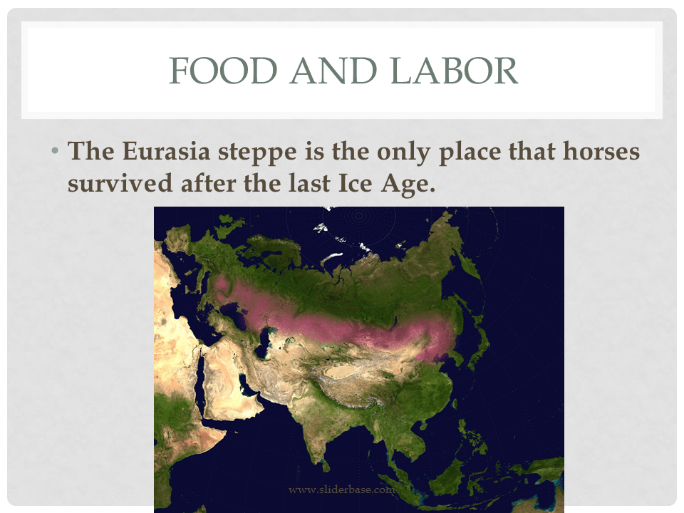 How do animals help us?