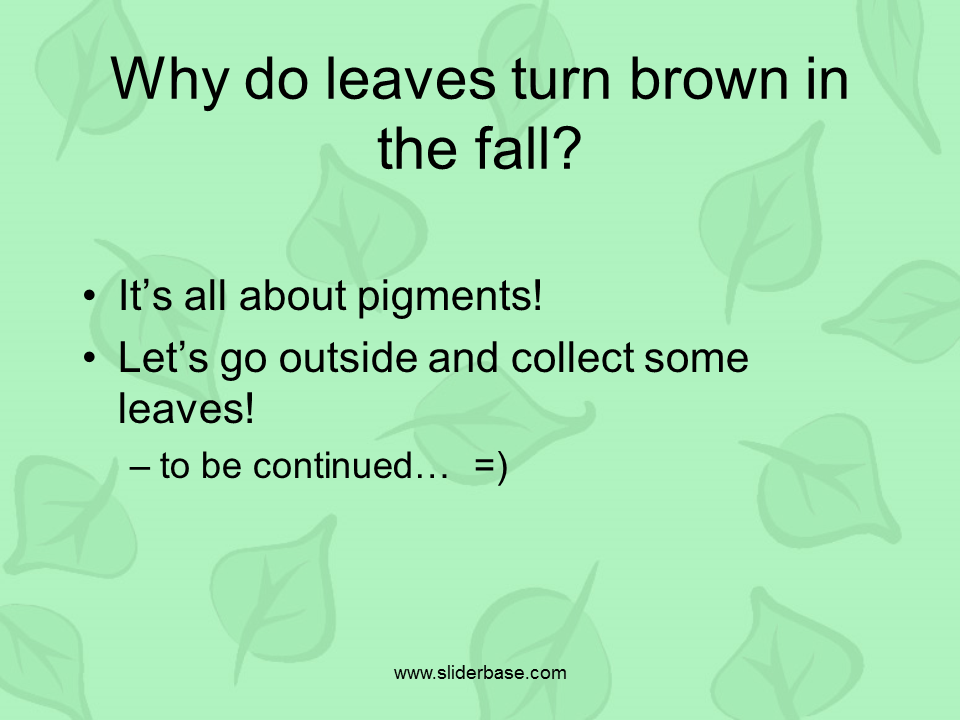 Why do leaves turn brown in the fall?