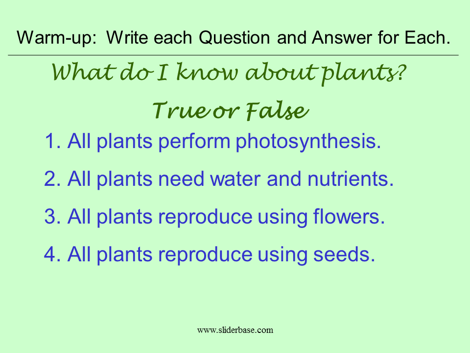 Plant Divisions Presentation Plants, Animals, and Ecosystems