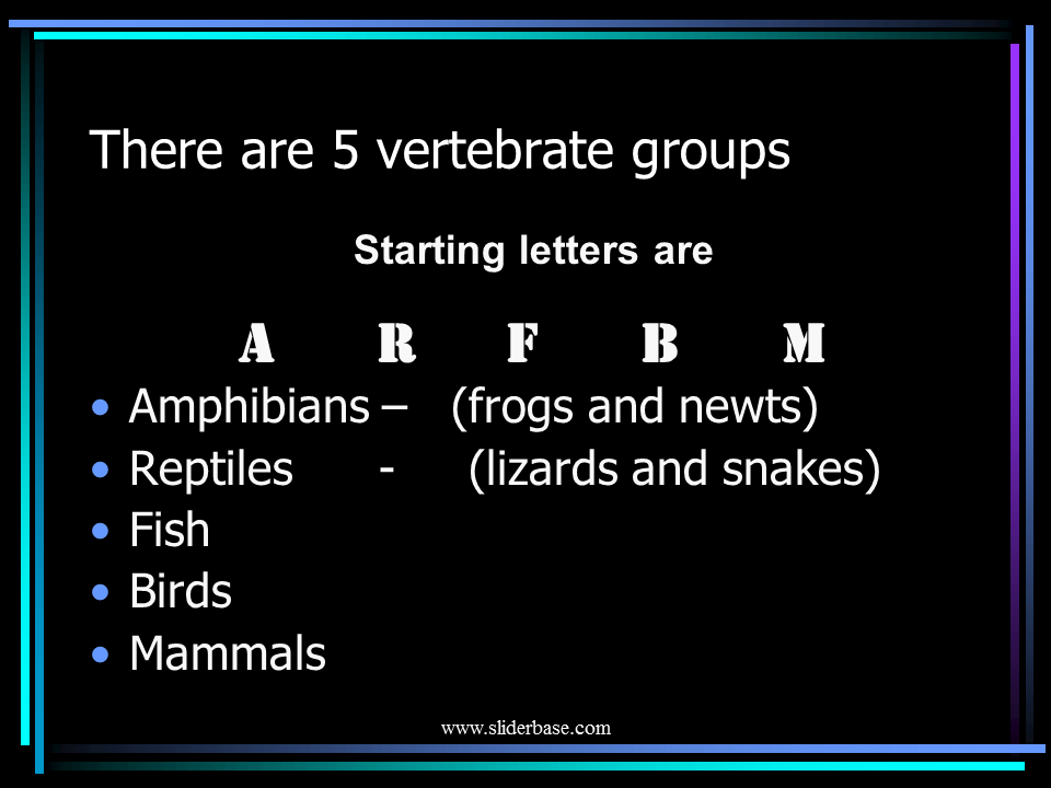 Vertebrates KS3 Presentation Plants, Animals, and Ecosystems