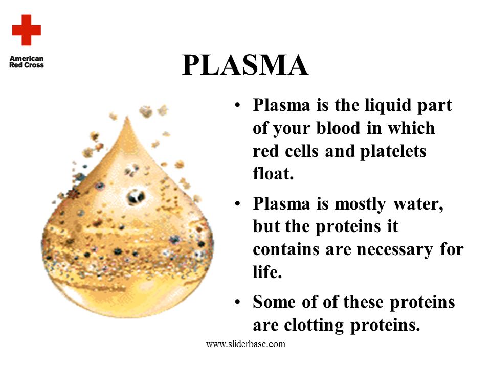Blood red cross Presentation Health and Disease