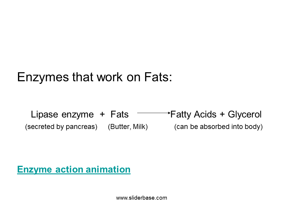 Digestive Enzymes Presentation Health and Disease