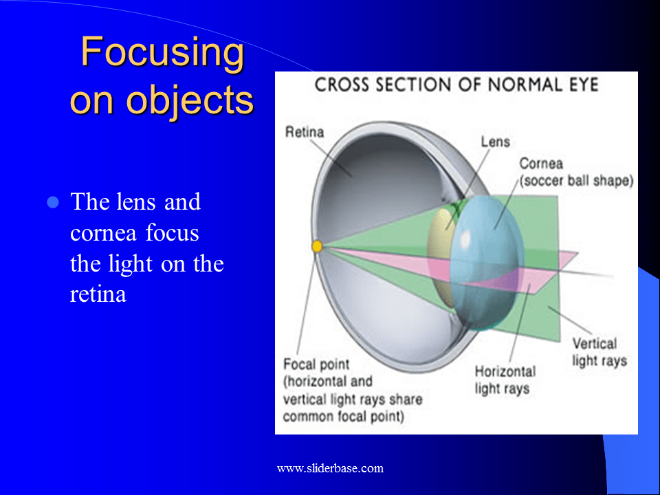 Eye Presentation Health and Disease