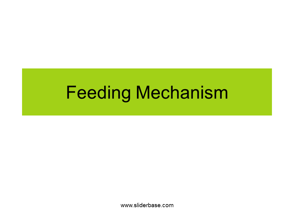 Feeding Mechanism