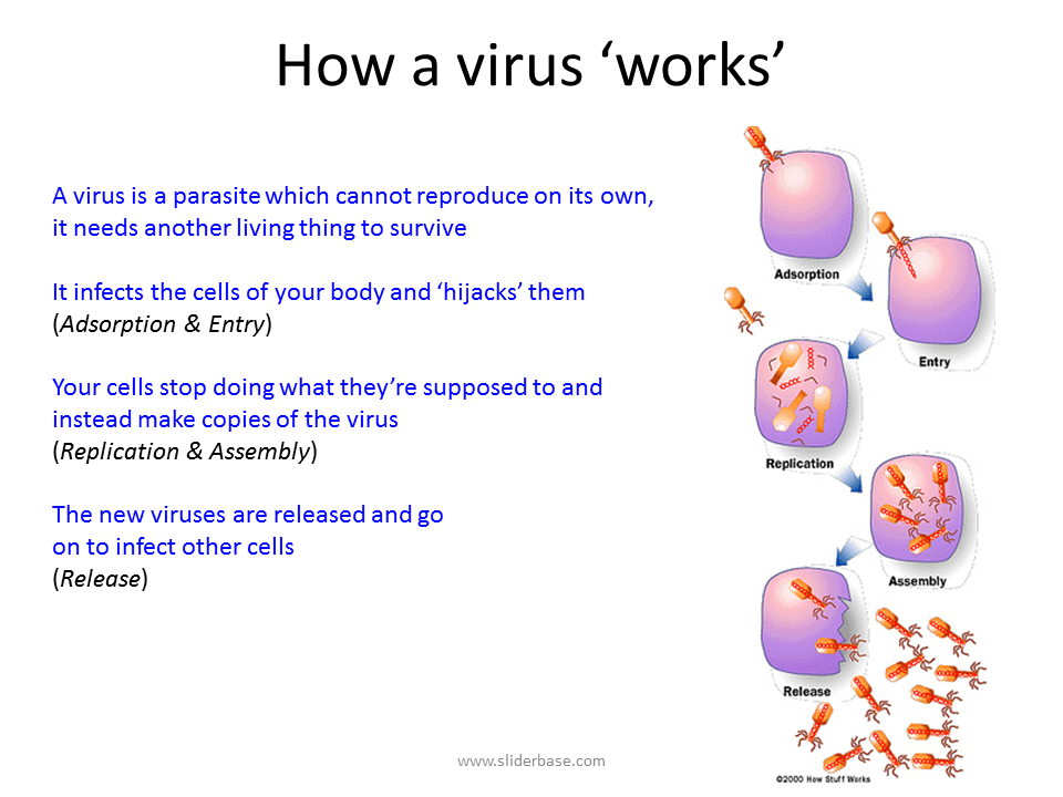 HIV & AIDS Presentation Health and Disease