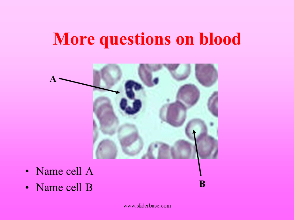 What is the strawcoloured liquid which carries all the other parts of blood called? Слайд 11 More