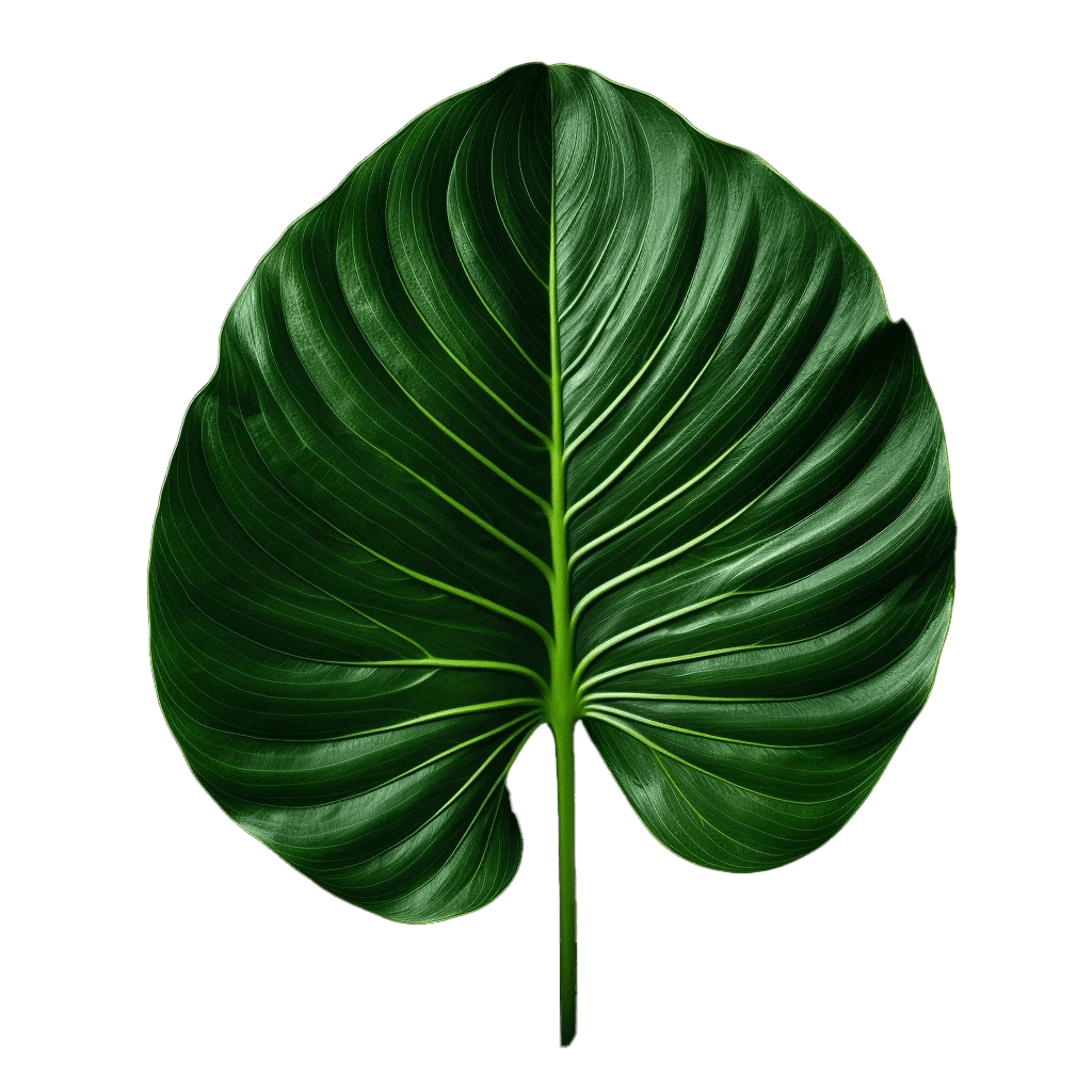 Fluid Dynamics Effect Showcase Slider Revolution