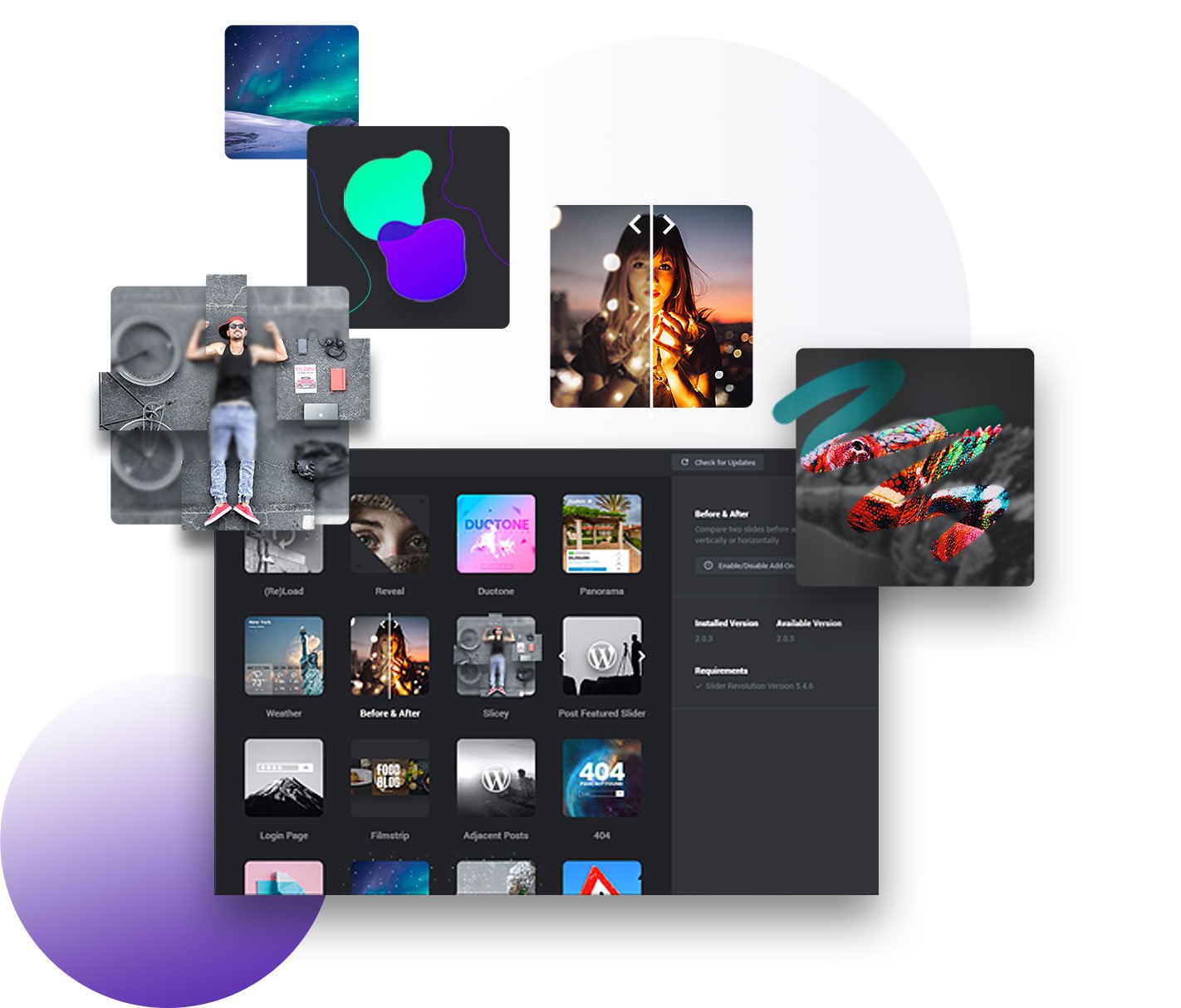 More than just a WordPress Slider Slider Revolution