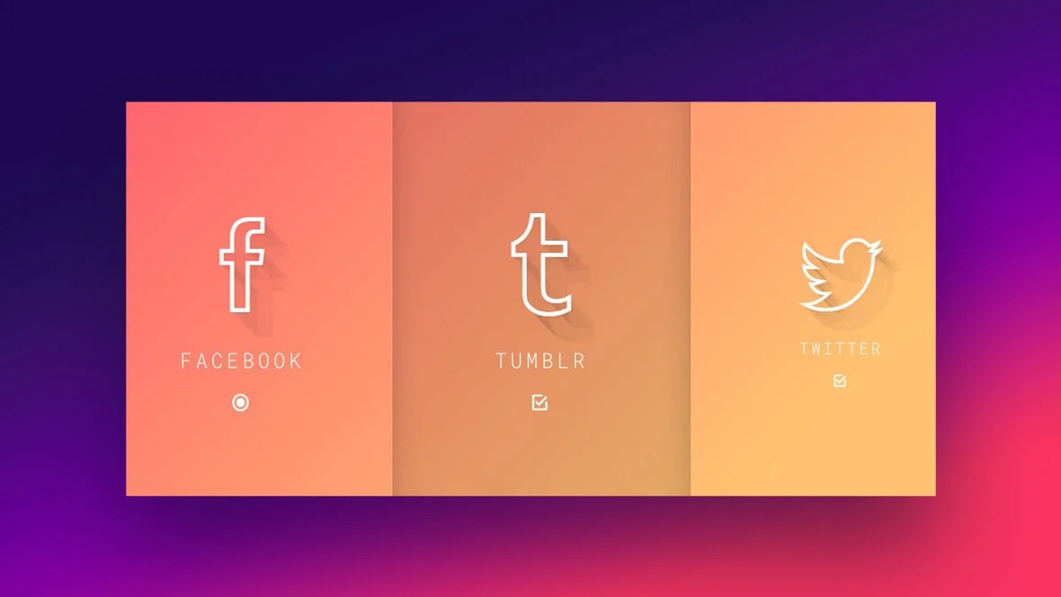 Styling Radio Buttons with CSS (59 Custom Examples)