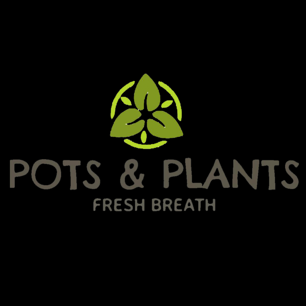 Pots Plants Online Presentations Channel