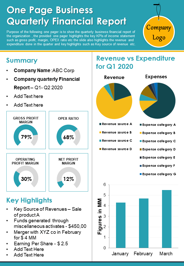 Top 20 Templates to Present a Financial Status Report