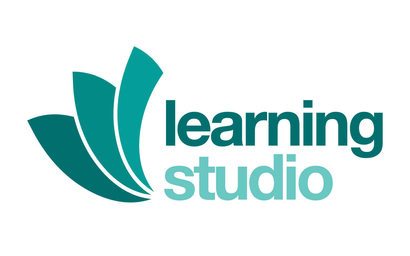 Learning Studio Logo Slingshot Graphic Design & Web Design
