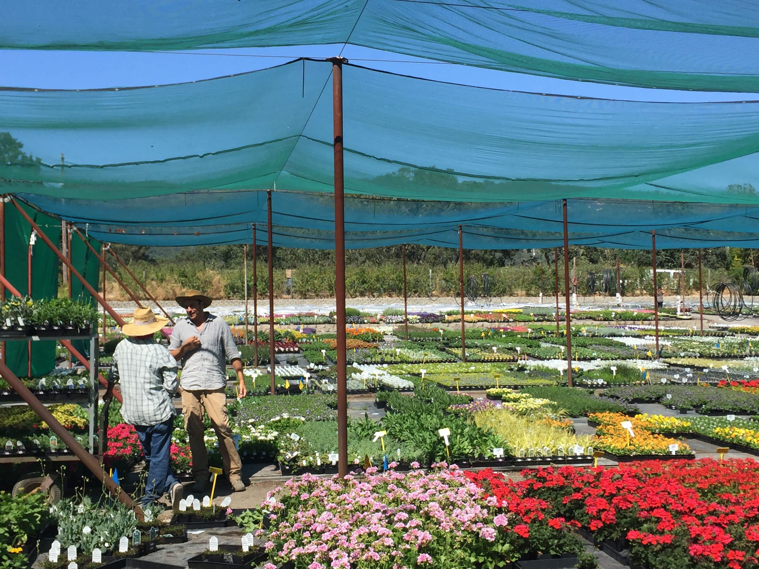 Meet our Family of Local Producers & Growers Blooms Nursery Sloat