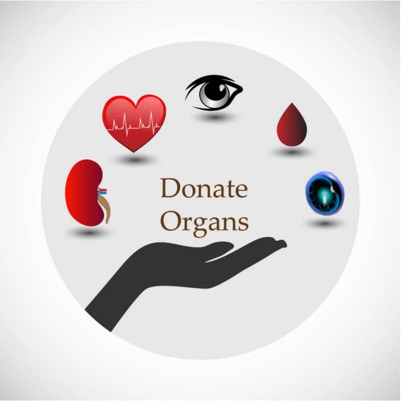 70+ Slogans on Organ Donation Slogans Buddy