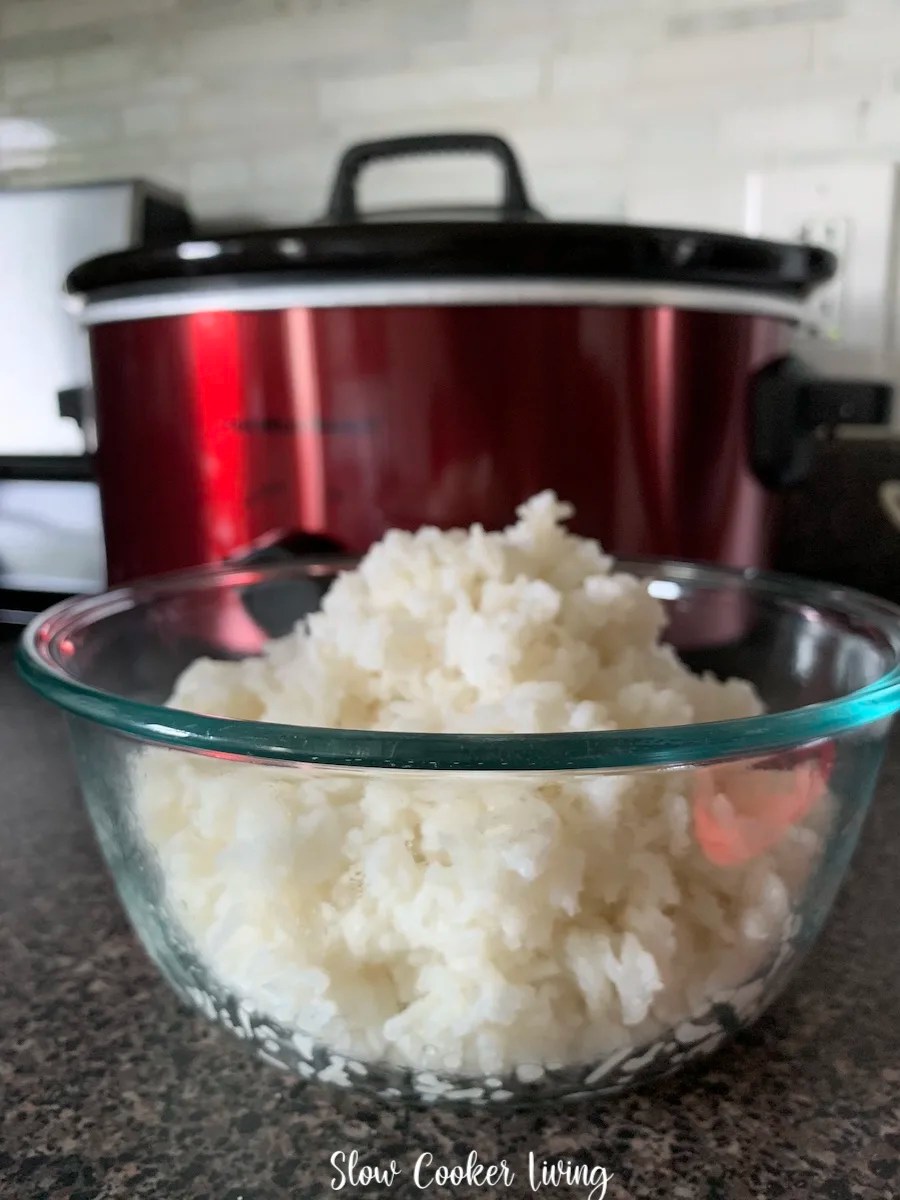 Crockpot Rice Recipe | Slow Cooker Living