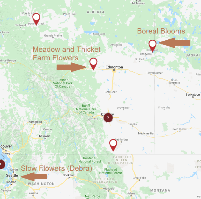 Episode 435 Heather Henson of Boreal Blooms and Clara Qualizza of