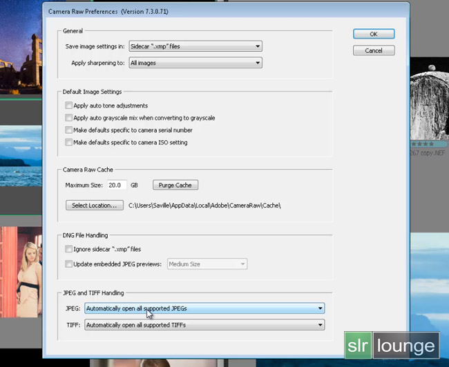 Top Five Tips for Bridge CS6 and Adobe Camera Raw
