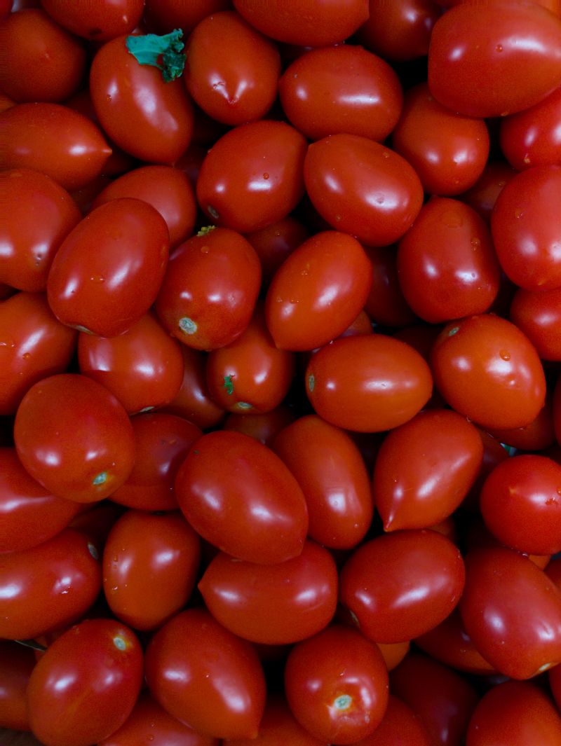 Cortex Camera App Review One Of The Best Photography Apps, Period