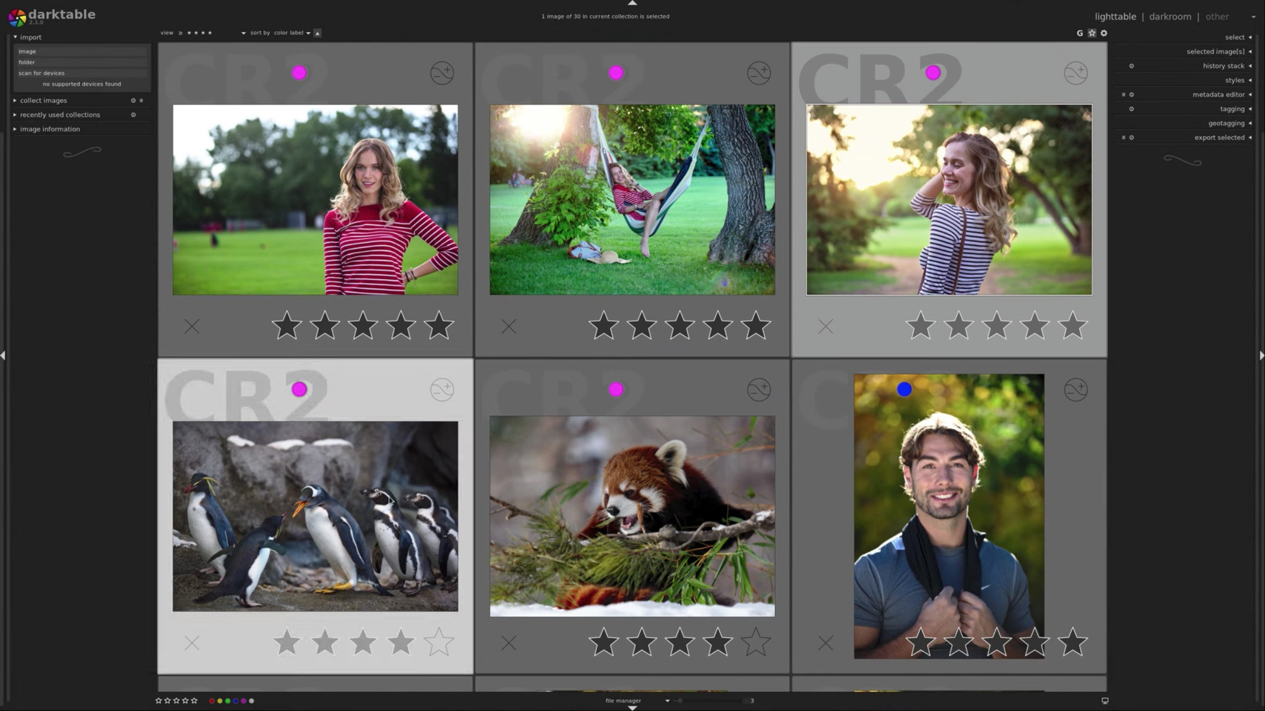 Darktable Free Lightroom Alternative Now Available On Windows & Mac