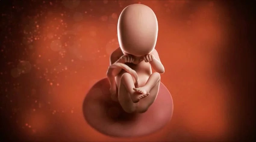 18 Weeks Pregnant Pregnancy SMA Baby